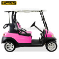 EXCAR 2 Sitzer elektrische Golfwagen 48 V Trojaner Batterie billig Golf Cart